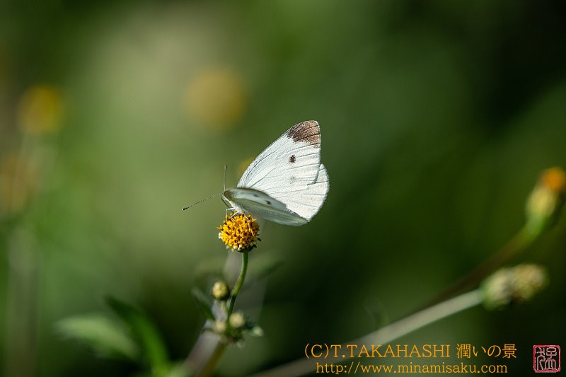 ../Images/7R241013 (296).jpg